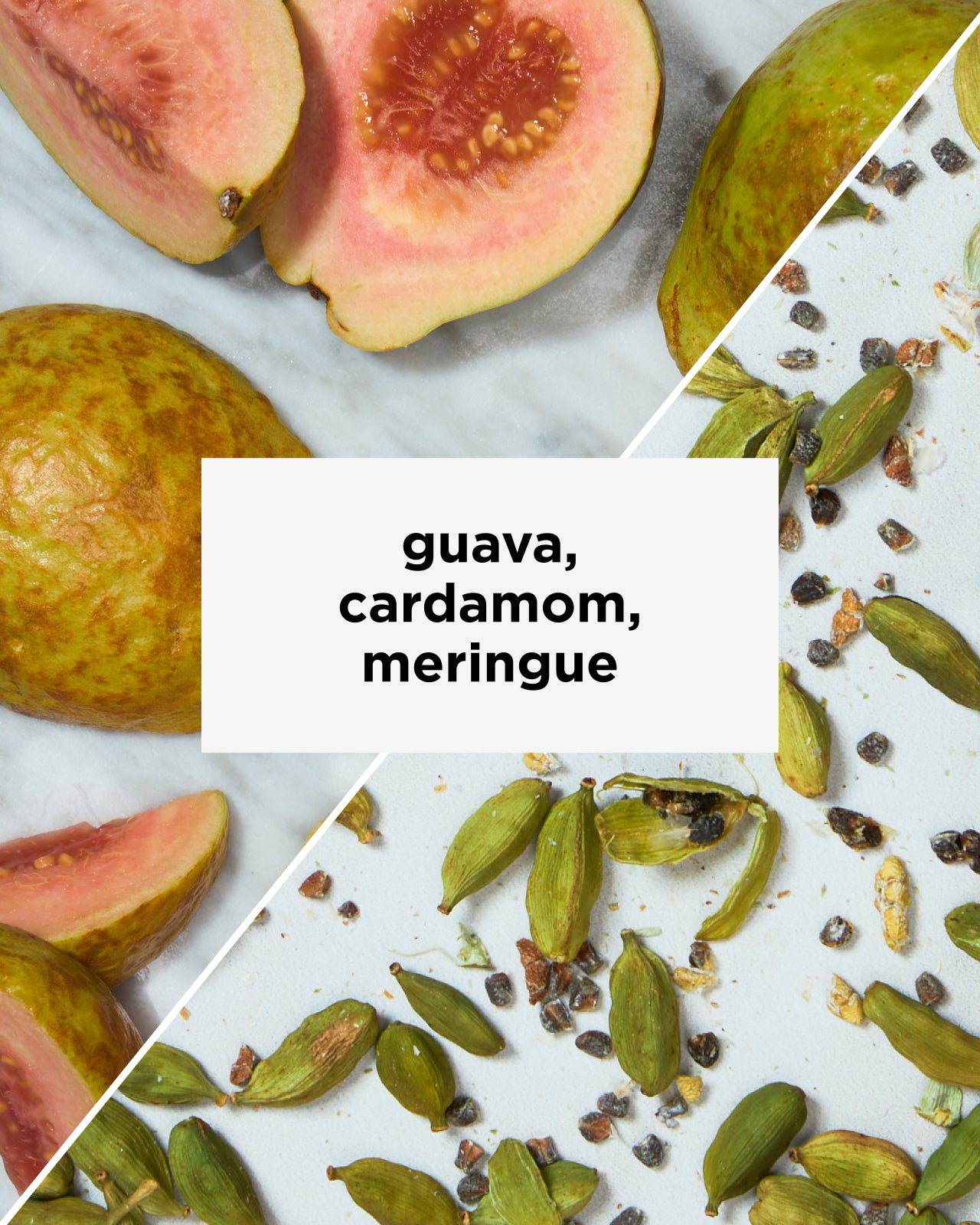 Colombia Las Flores Thermal Shock | Tastes like guava, cardamom, meringue | Equator Coffees