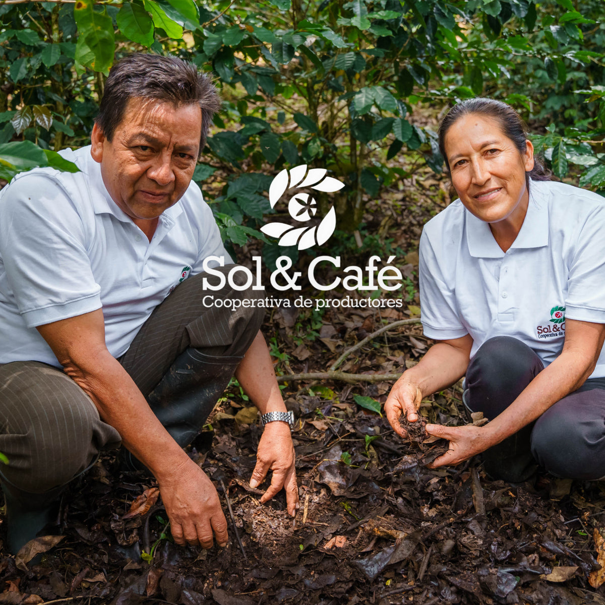 About the Beneficiary | Super Bloom | Equator Coffees
