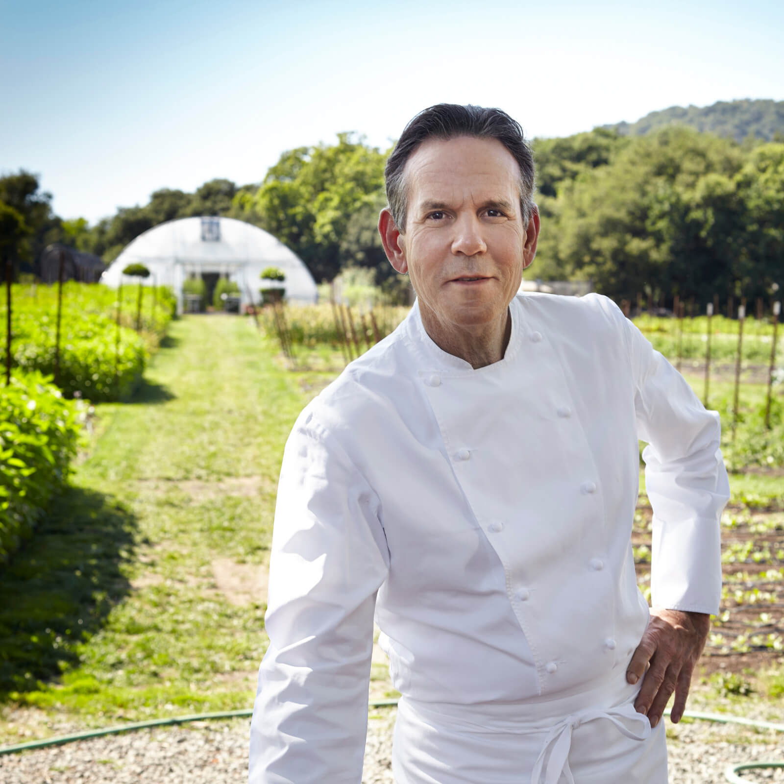 Explore the Chef Thomas Keller coffee collection | Equator Coffees